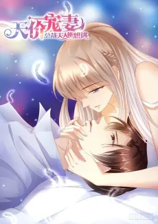 An Exorbitant Wife cover