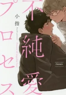 The Process of Impure Love cover