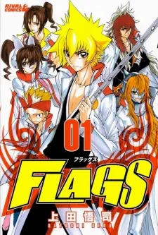 FLAGS cover