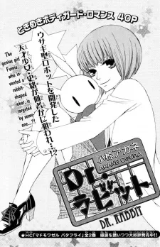 Dr. Rabbit cover