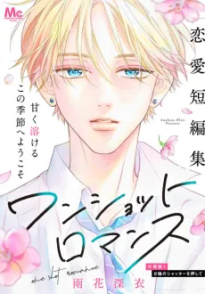 Oneshot Romance cover