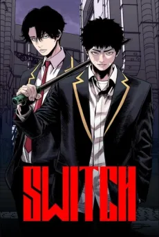 Switch cover