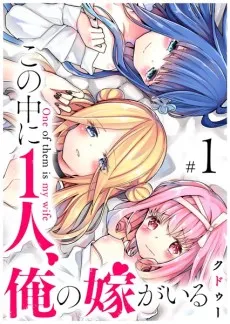 Kono Naka ni 1-ri, Ore no Yome ga Iru cover