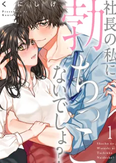 Why Would You Get Hard Over Me, Your Boss? cover