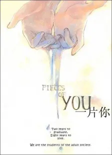 Pieces of You cover