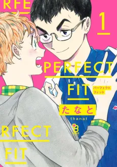 PERFECT FIT cover