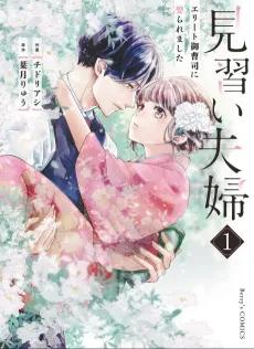Husband and Wife in Training: I Got Married to an Elite Heir cover