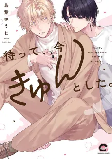 Wait, My Heart Just Skipped a Beat cover