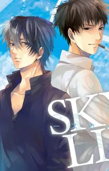 Sky Link cover