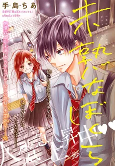 Mijuku na Bokura cover