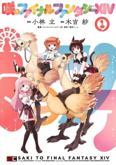 SAKI & FINAL FANTASY XIV cover