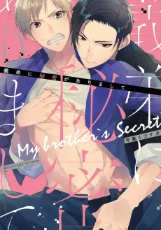 My Brother's Secret cover