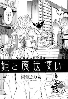 Princess and the Witch cover