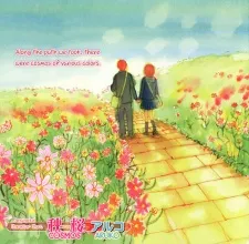 Akizakura cover