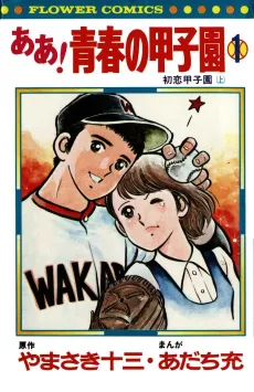 Aa! Seishun no Koushien cover