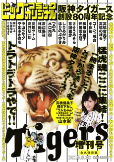 Hanshin Tigers Sousetsu 80 Shuunen Kinen Zoukan cover