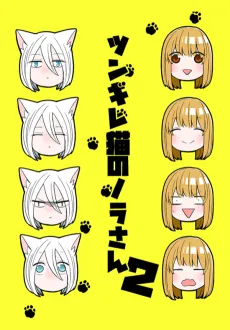 Tsungire Neko no Nora-san cover