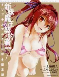 The Testament of Sister New Devil BURST: Tojo Basara’s Perfectly Peaceful Daily Life cover
