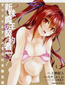 The Testament of Sister New Devil BURST: Tojo Basara’s Perfectly Peaceful Daily Life cover