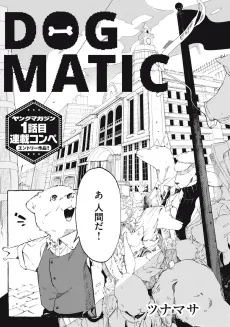DOG MATIC cover