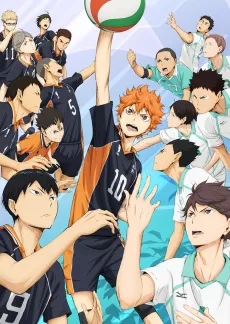 Haikyuu!! the Movie: The Winner and the Loser cover