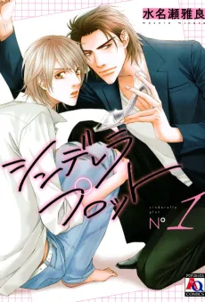 Cinderella Plot cover