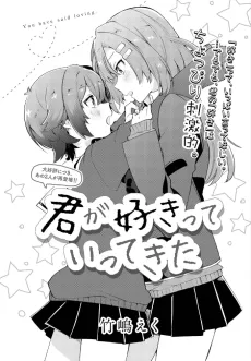 Kimi ga Sukitte Ittekita cover