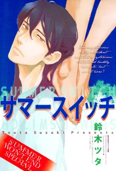 Summer Switch cover