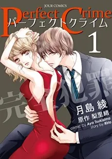 Perfect Crime cover