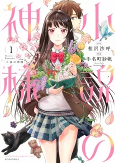 Shousetsu no Kamisama cover
