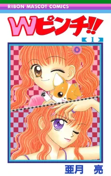 W-Pinch!! cover