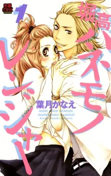 Horikou Hanemono Ranger cover