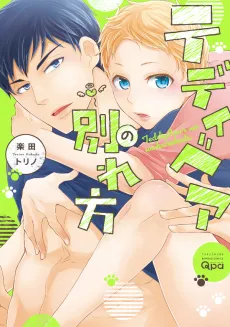 Teddy Bear no Wakarekata cover