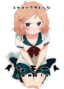 Immote cover