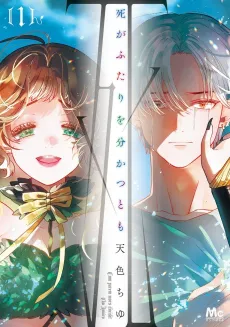 Shi ga Futari wo Wakatsutomo cover