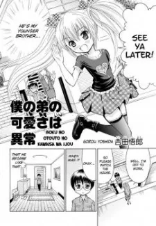 Boku no Otouto no Kawaisa wa Ijou cover