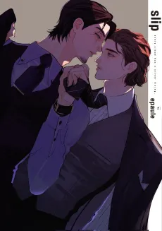 slip cover