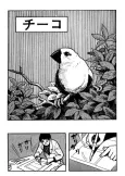 Chirpy cover
