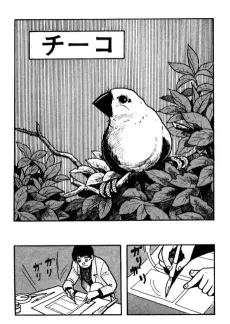 Chirpy cover
