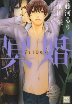 Meikon cover