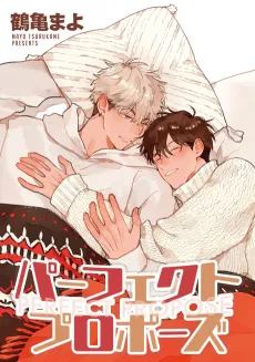 Perfect Propose: Bangai-hen cover