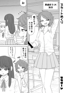 Skirt Mekuri cover