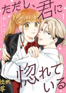 Tadashi, Kimi ni Horeteiru cover