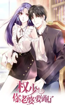 The Runaway Wife cover