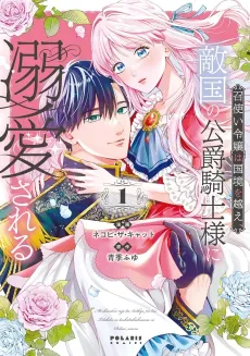 Meshitsukai Reijou wa Kokkyou wo Koe, Tekkoku no Koushaku Kishi-sama ni Dekiaisareru cover