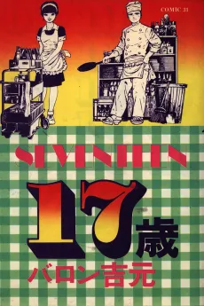 17-sai cover