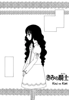 Kimi no Kishi cover