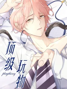 Top-Class Plaything cover