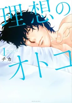 Risou no Otoko cover