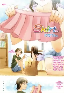 Skirt cover